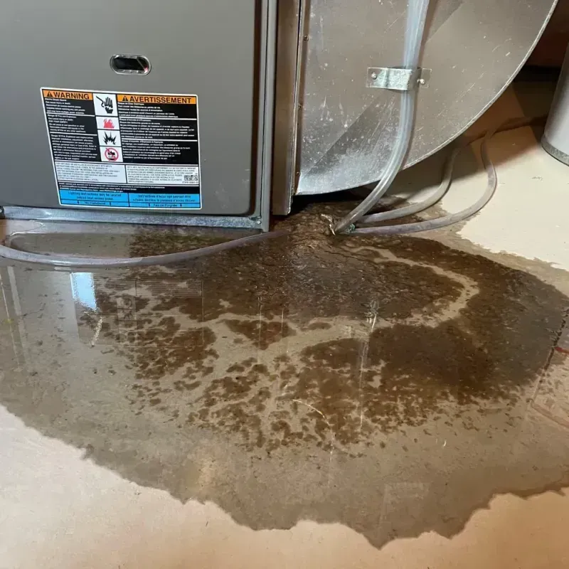 Appliance Leak Cleanup in Morgan City, LA